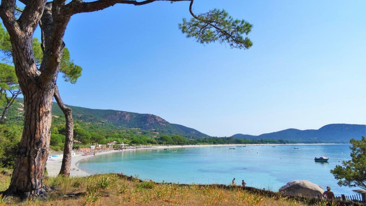 A Altezza Palombaggia Villa Porto-Vecchio  Eksteriør bilde