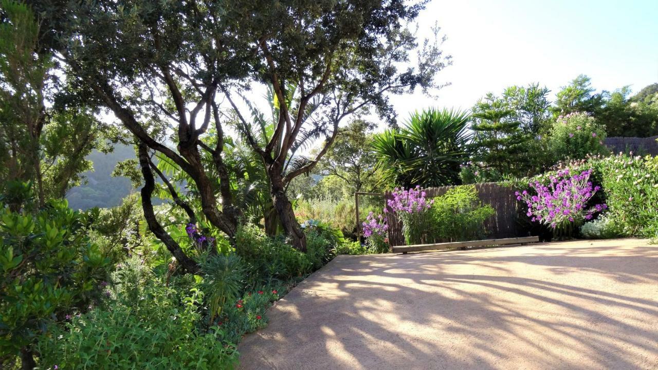 A Altezza Palombaggia Villa Porto-Vecchio  Eksteriør bilde